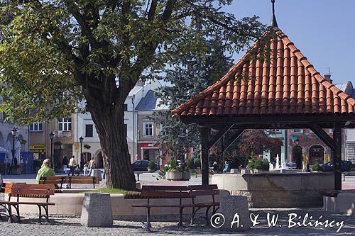 Krosno rynek, studnia na rynku