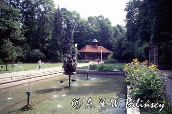Krynica Górska Źródło Jana Beskid Sądecki
