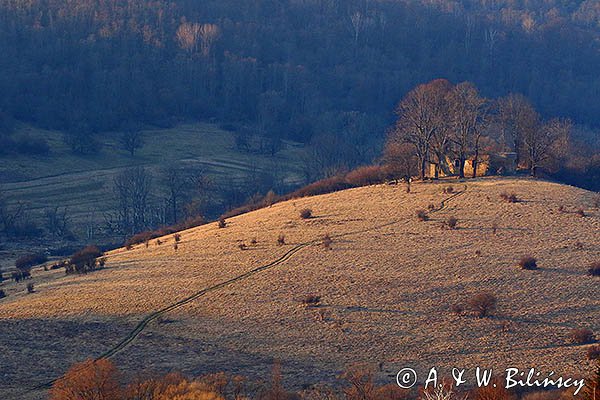 Krywe ruiny cerkwi, Park Krajobrazowy Doliny Sanu, Bieszczady