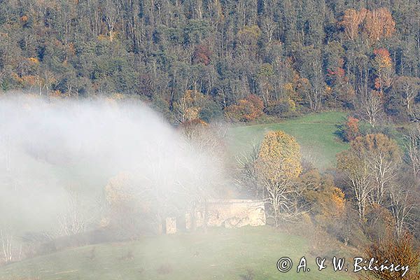 Krywe ruiny cerkwi, Park Krajobrazowy Doliny Sanu, Bieszczady