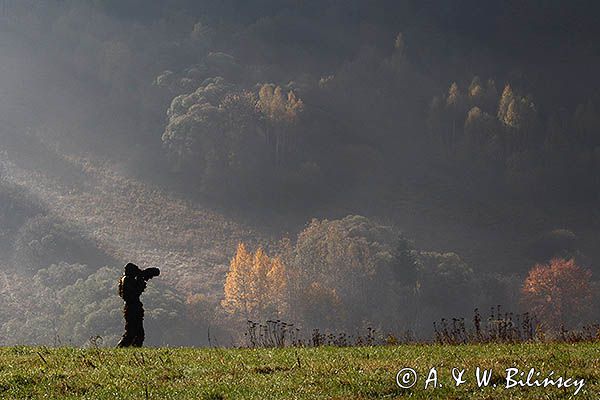 fotograf przyrody, Bieszczady