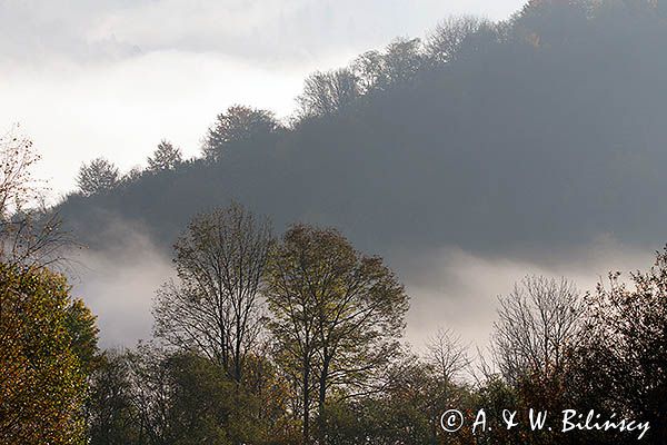 Park Krajobrazowy Doliny Sanu, Bieszczady