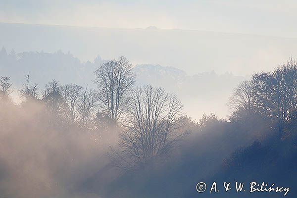 Park Krajobrazowy Doliny Sanu, Bieszczady
