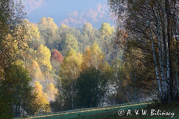 Park Krajobrazowy Doliny Sanu, Bieszczady