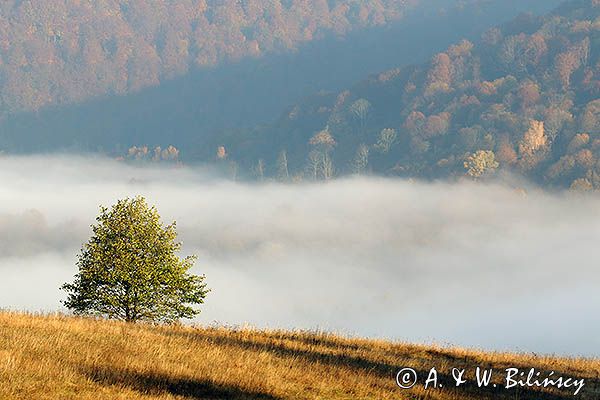 Park Krajobrazowy Doliny Sanu, Bieszczady