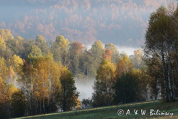 Park Krajobrazowy Doliny Sanu, Bieszczady