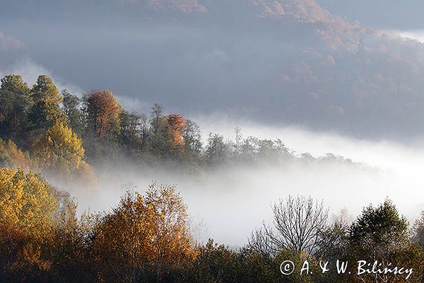 Park Krajobrazowy Doliny Sanu, Bieszczady
