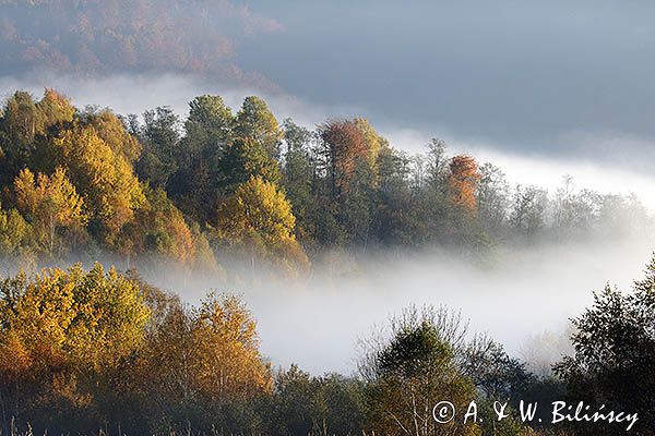 Park Krajobrazowy Doliny Sanu, Bieszczady