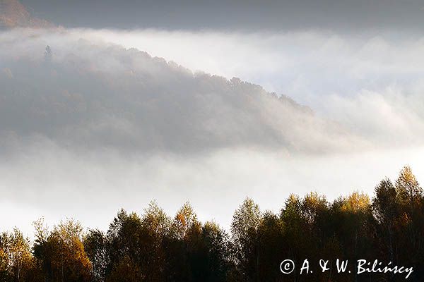 Park Krajobrazowy Doliny Sanu, Bieszczady