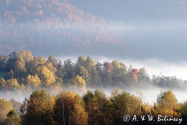 Park Krajobrazowy Doliny Sanu, Bieszczady