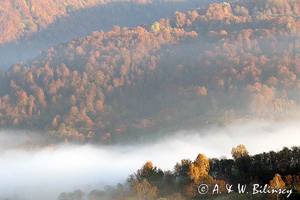 Park Krajobrazowy Doliny Sanu, Bieszczady