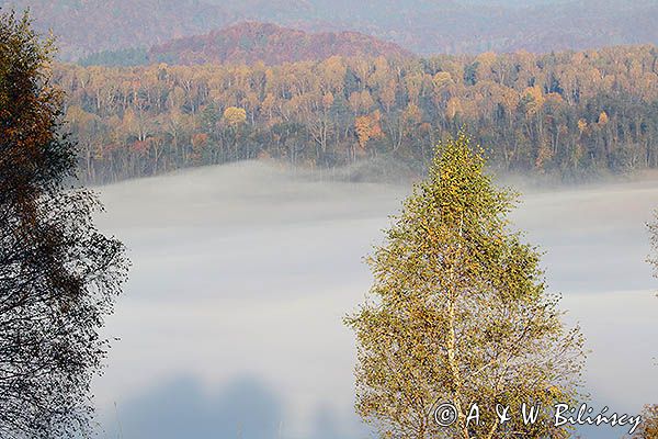 Park Krajobrazowy Doliny Sanu, Bieszczady