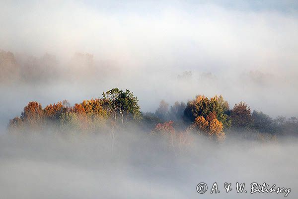 Park Krajobrazowy Doliny Sanu, Bieszczady