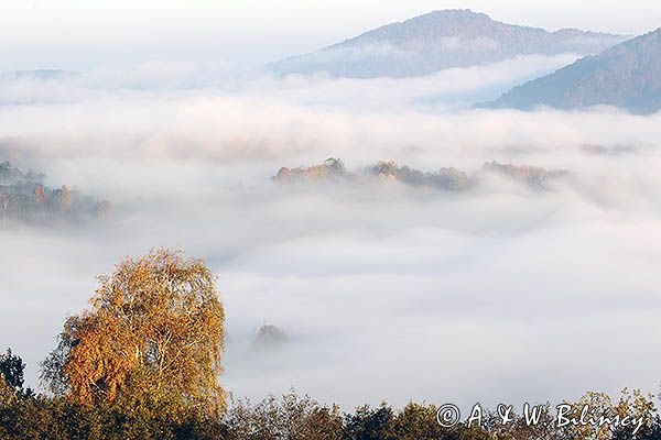 Park Krajobrazowy Doliny Sanu, Bieszczady