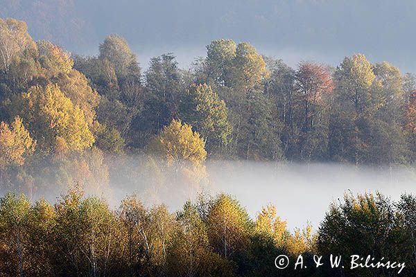 Park Krajobrazowy Doliny Sanu, Bieszczady