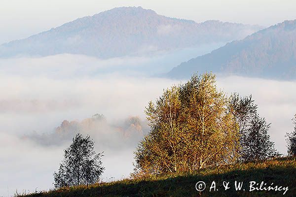 Krywe, Park Krajobrazowy Doliny Sanu, Bieszczady