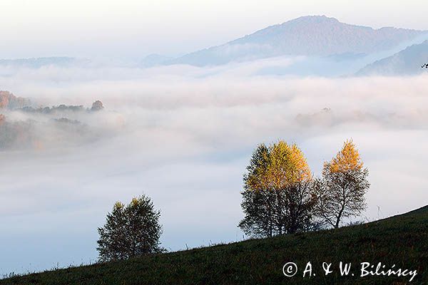 Park Krajobrazowy Doliny Sanu, Bieszczady