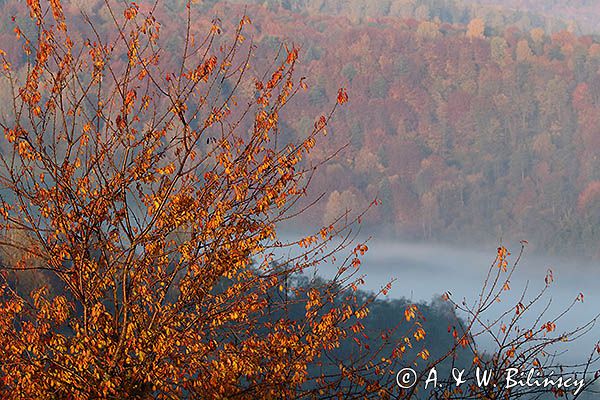 Park Krajobrazowy Doliny Sanu, Bieszczady