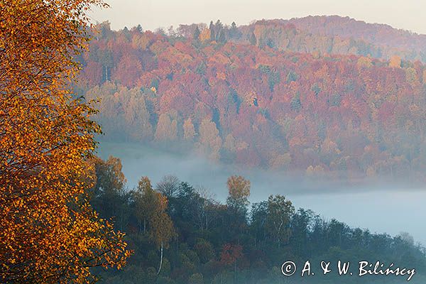 Park Krajobrazowy Doliny Sanu, Bieszczady