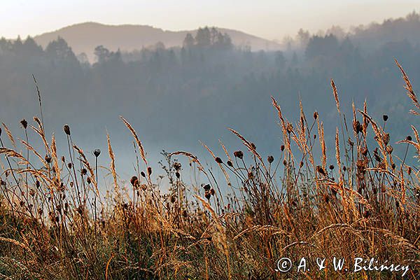 Park Krajobrazowy Doliny Sanu, Bieszczady