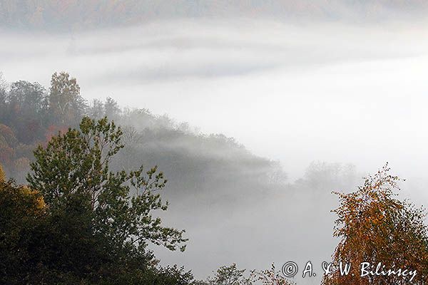 Park Krajobrazowy Doliny Sanu, Bieszczady