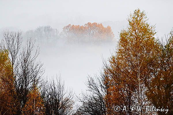 Jesień na Krywem, Bieszczady