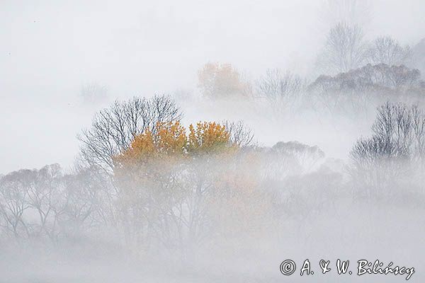 Jesień na Krywem, Bieszczady