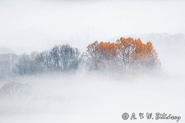 Jesień na Krywem, Bieszczady