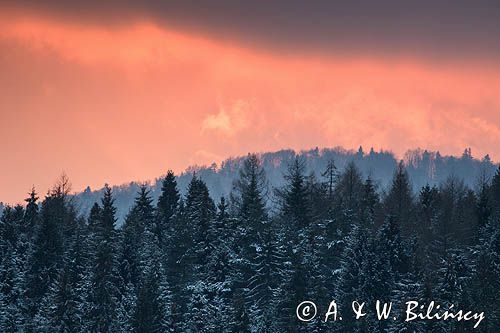 Zima, zachód słońca, Bieszczady