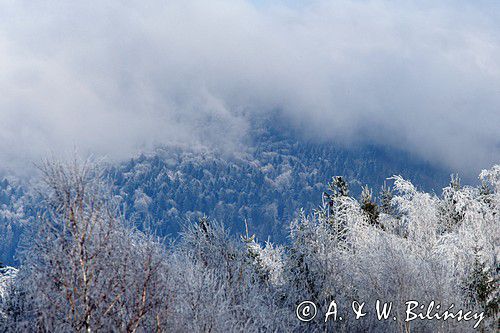 szadzie, Krywka, Bieszczady