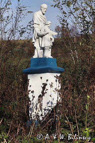 Krzemienna, figura św. Wincentego a Paulo, Pogórze Dynowskie