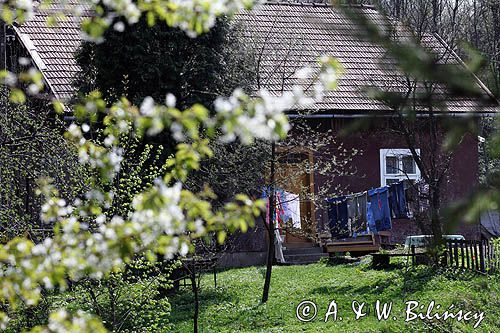 chata we wsi Krzywe, Pogórze Dynowskie