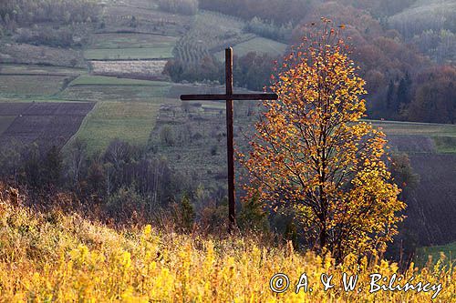 widok ze wzgórza Krzywe Dział, gmina Dydnia, Pogórze Dynowskie