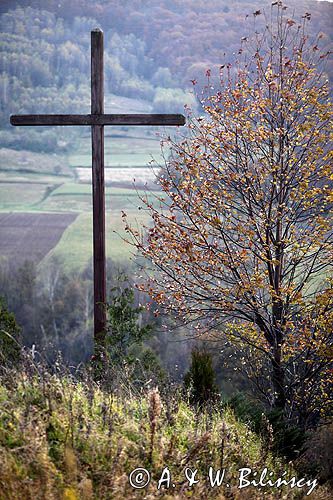 widok ze wzgórza Krzywe Dział, gmina Dydnia, Pogórze Dynowskie