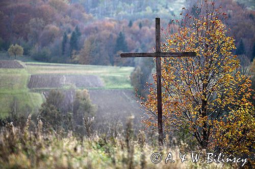 widok ze wzgórza Krzywe Dział, gmina Dydnia, Pogórze Dynowskie