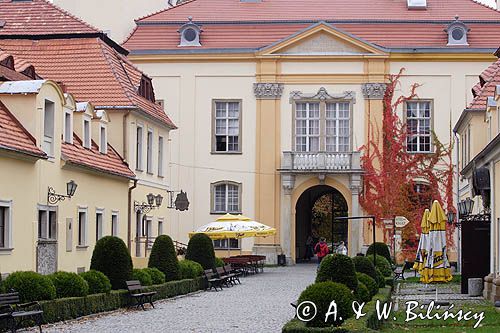 Książ, zamek