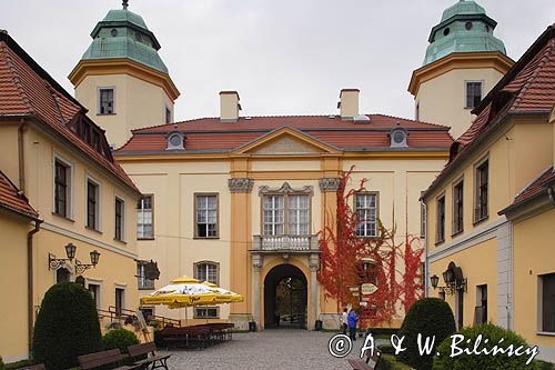 Książ, zamek