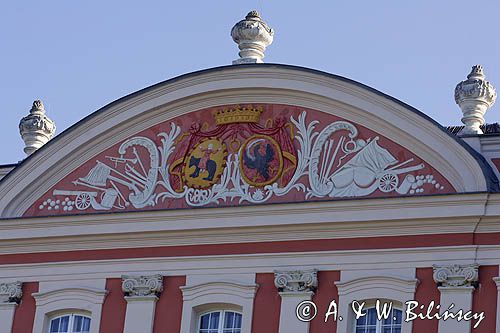Kurozwęki, zamek - pałac