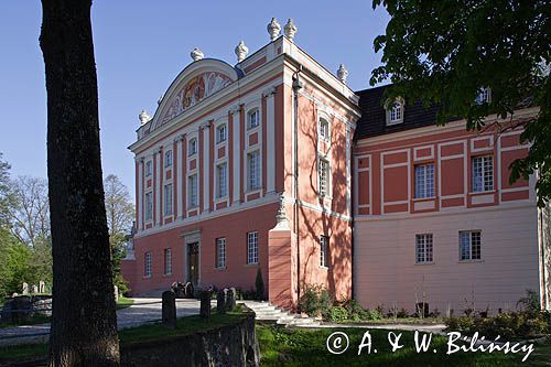 Kurozwęki, zamek - pałac
