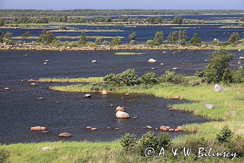 widok z wieży widokowej Saltkaret koło portu Svedjehamn na wyspie Bjorkoby, Archipelag Kvarken, Finlandia, Zatoka Botnicka