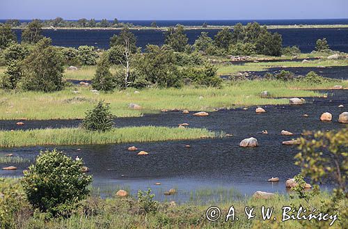 widok z wieży widokowej Saltkaret koło portu Svedjehamn na wyspie Bjorkoby, Archipelag Kvarken, Finlandia, Zatoka Botnicka