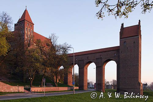 Kwidzyn, Zamek kapituły pomezańskiej