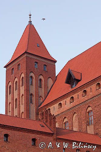 Kwidzyn, Zamek kapituły pomezańskiej