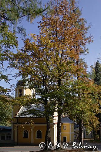 Lądek Zdrój, Sanktuarium MB Uzdrowienia Chory