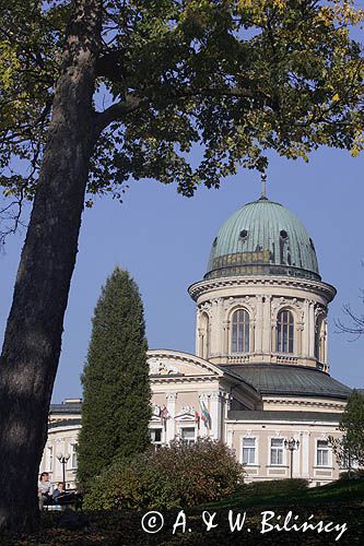 Lądek Zdrój, Zakład Przyrodoleczn Wojciech I