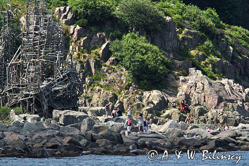 Nimis, Ladonia, półwysep Kullen, Szwecja, Skania, Sund