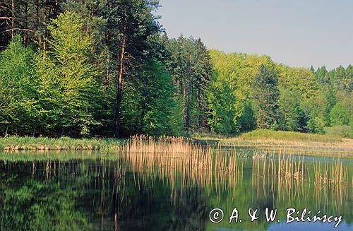 Łagowski Park Krajobrazowy