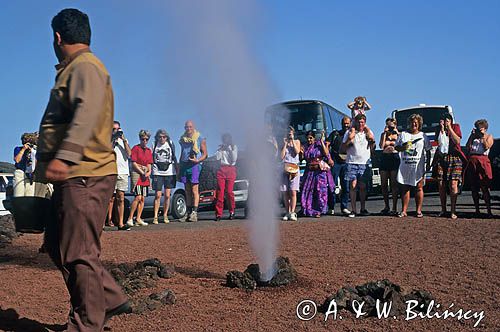 W parku narodowym Timanfaya wyspa Lanzarote Wyspy Kanaryjskie