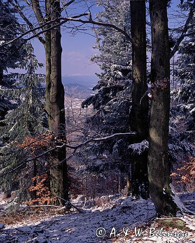 las Bieszczady