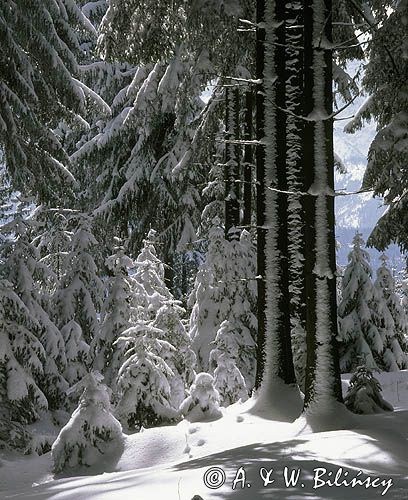 Tatry w zimie